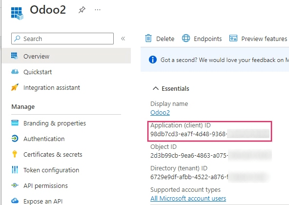 Application/Client ID розташовано в огляді застосунку.