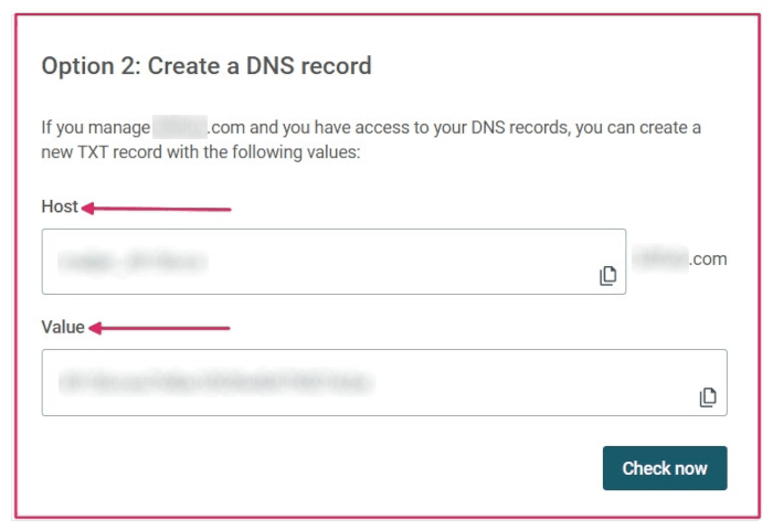 Інформація TXT-запису для введення в DNS домену.